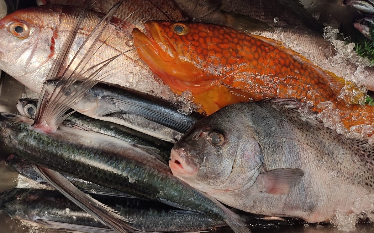 新羽駅周辺の3つのスーパーにおける魚コーナー特徴解説 釣りの技法