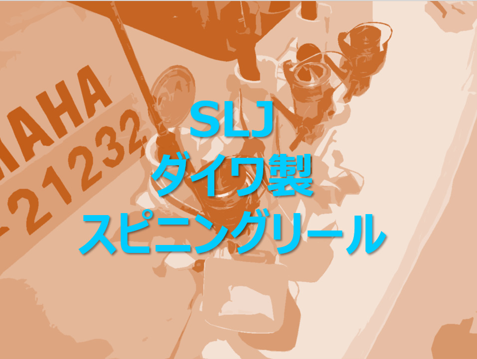 SLJ_ダイワ製おすすめスピニングリール2